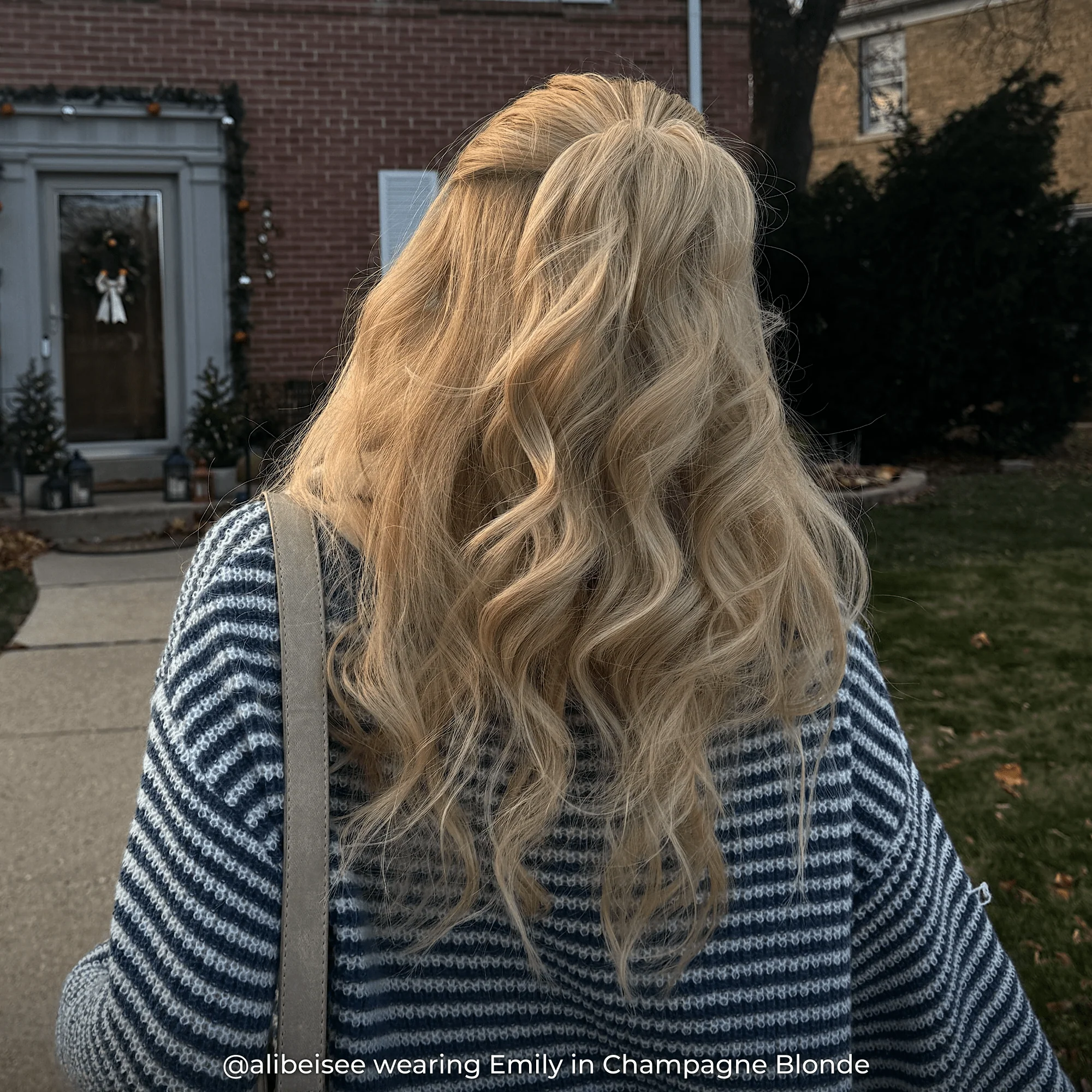 Emily Ponytail Extension - Image 43