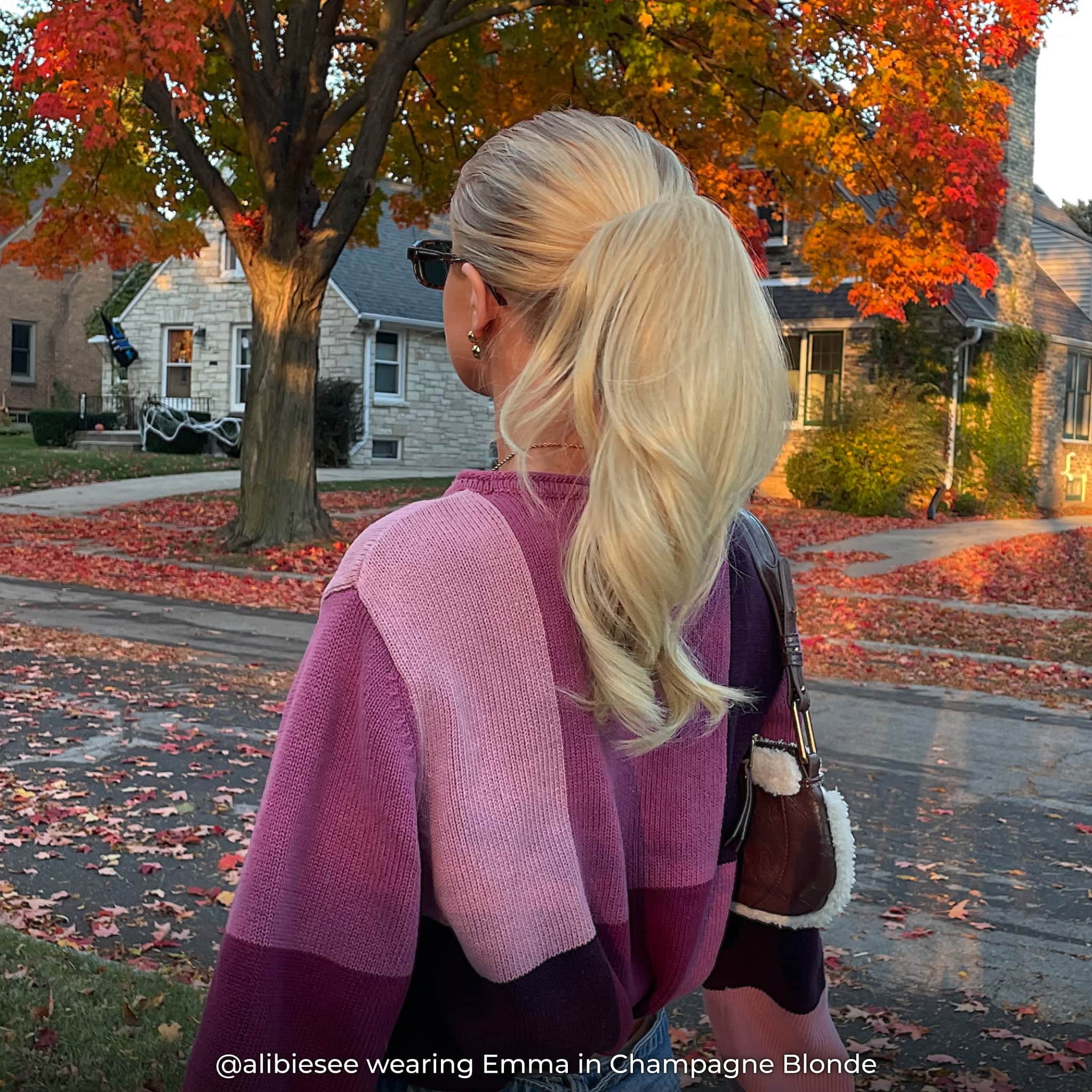 Emma Ponytail Extension - Image 44