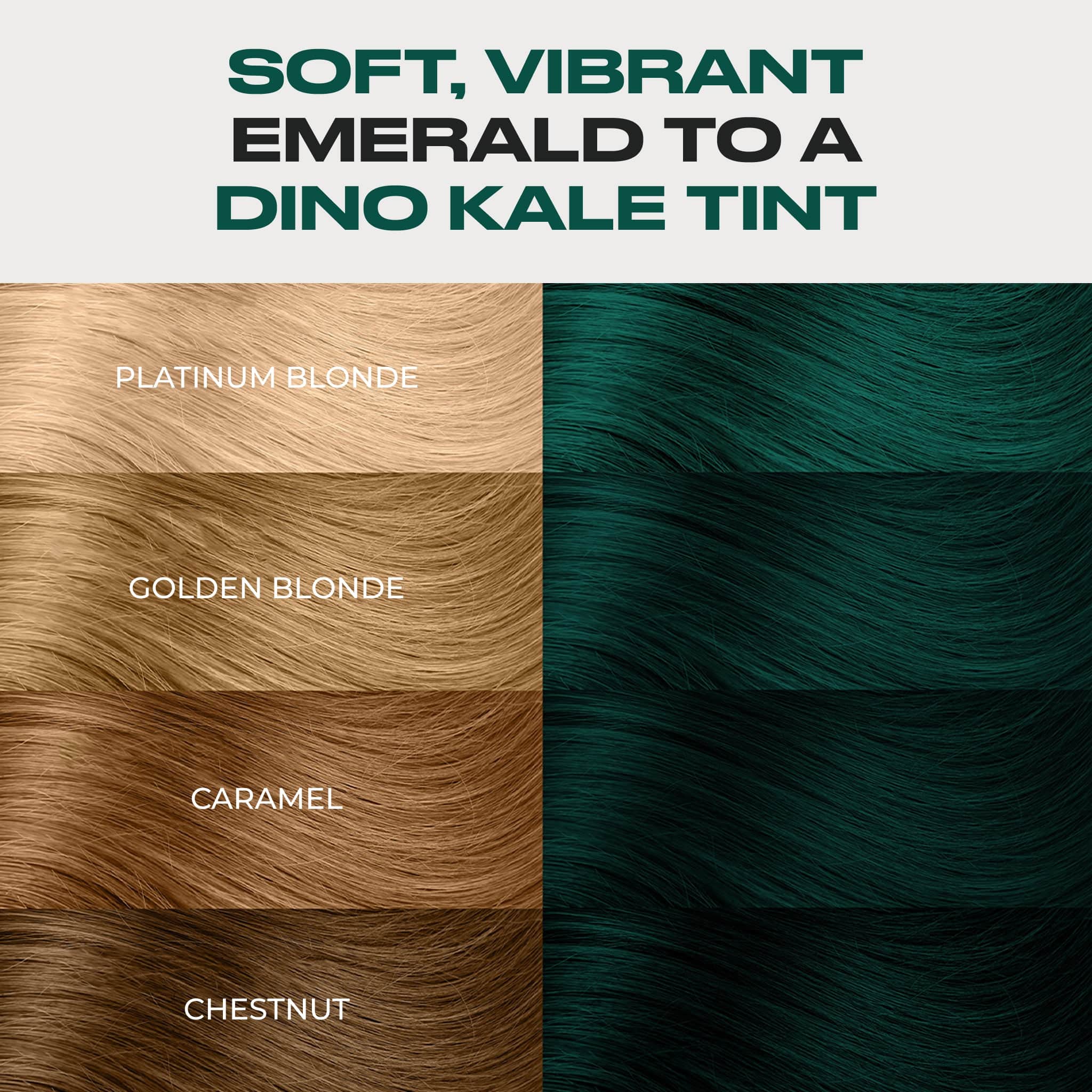 Semi Permanent Hair Color Conditioner - Image 20
